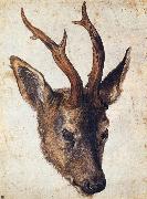 Albrecht Durer The Head of Stag oil painting